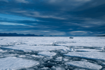 Polargebiete – Arktis oder Antarktis